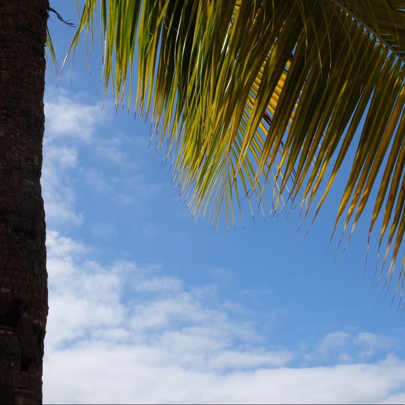 Meet your Posher, Kennisha - Picture 1 of 1